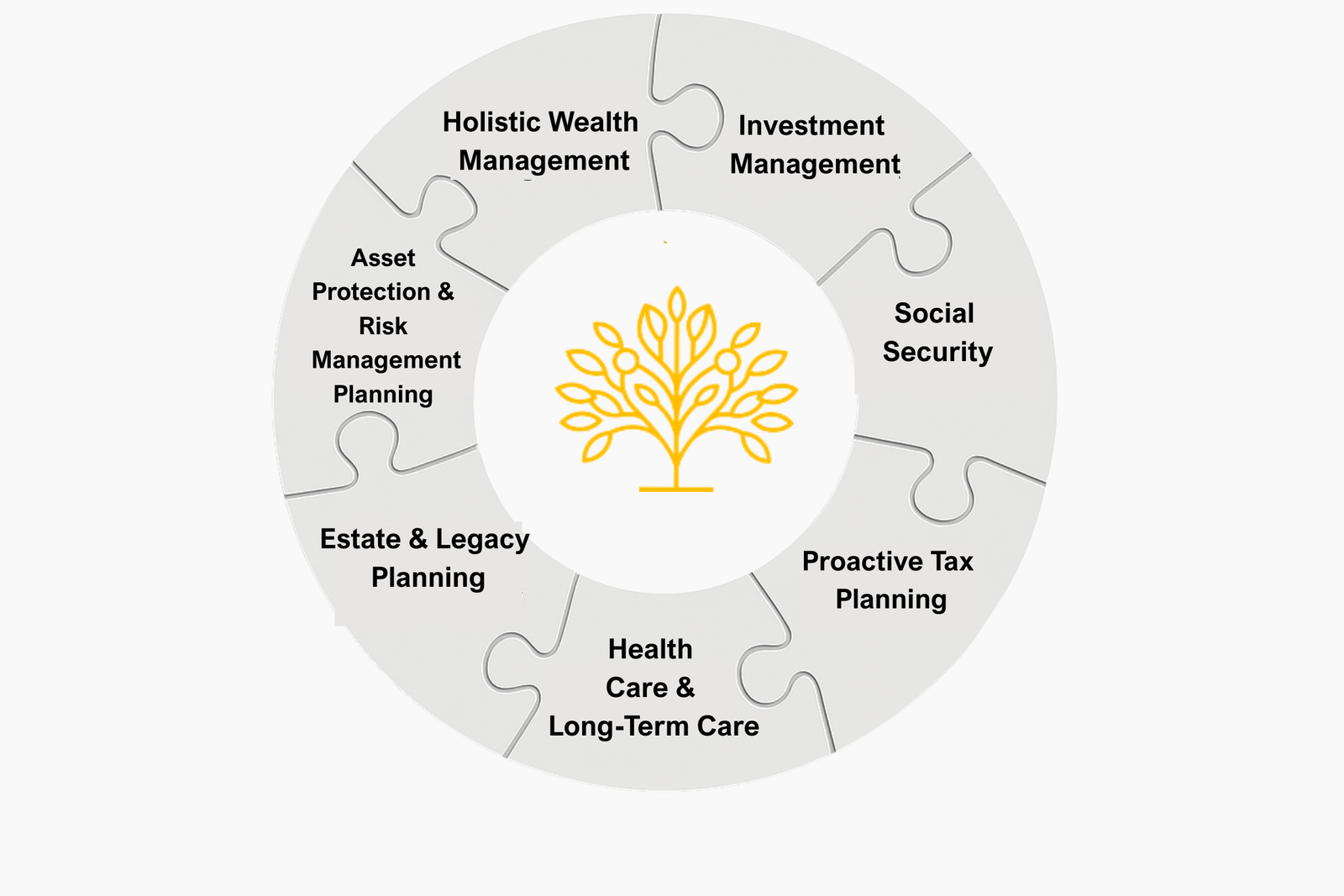 Advanced Wealth Management Puzzle Graphic
